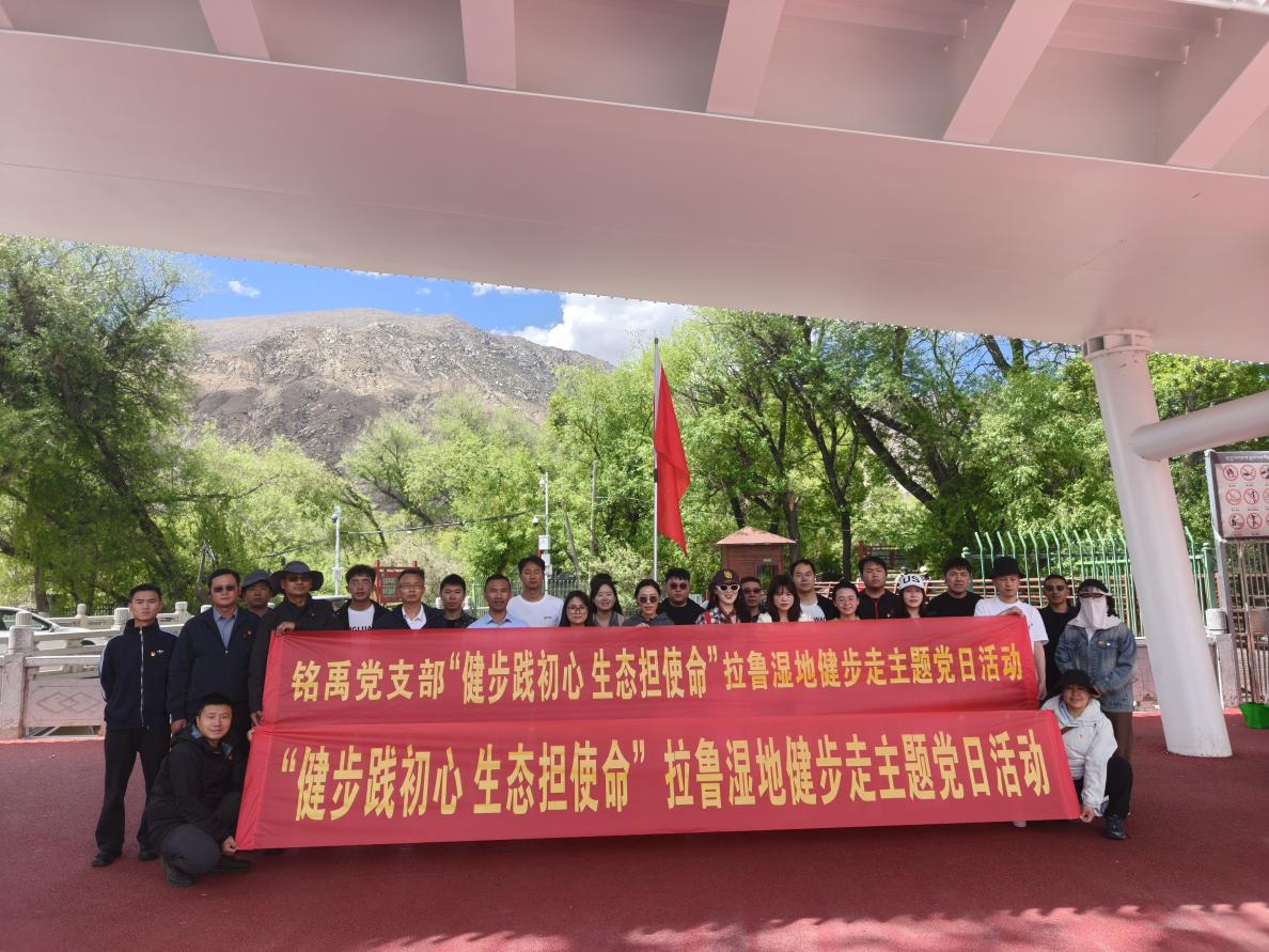 图片11.png